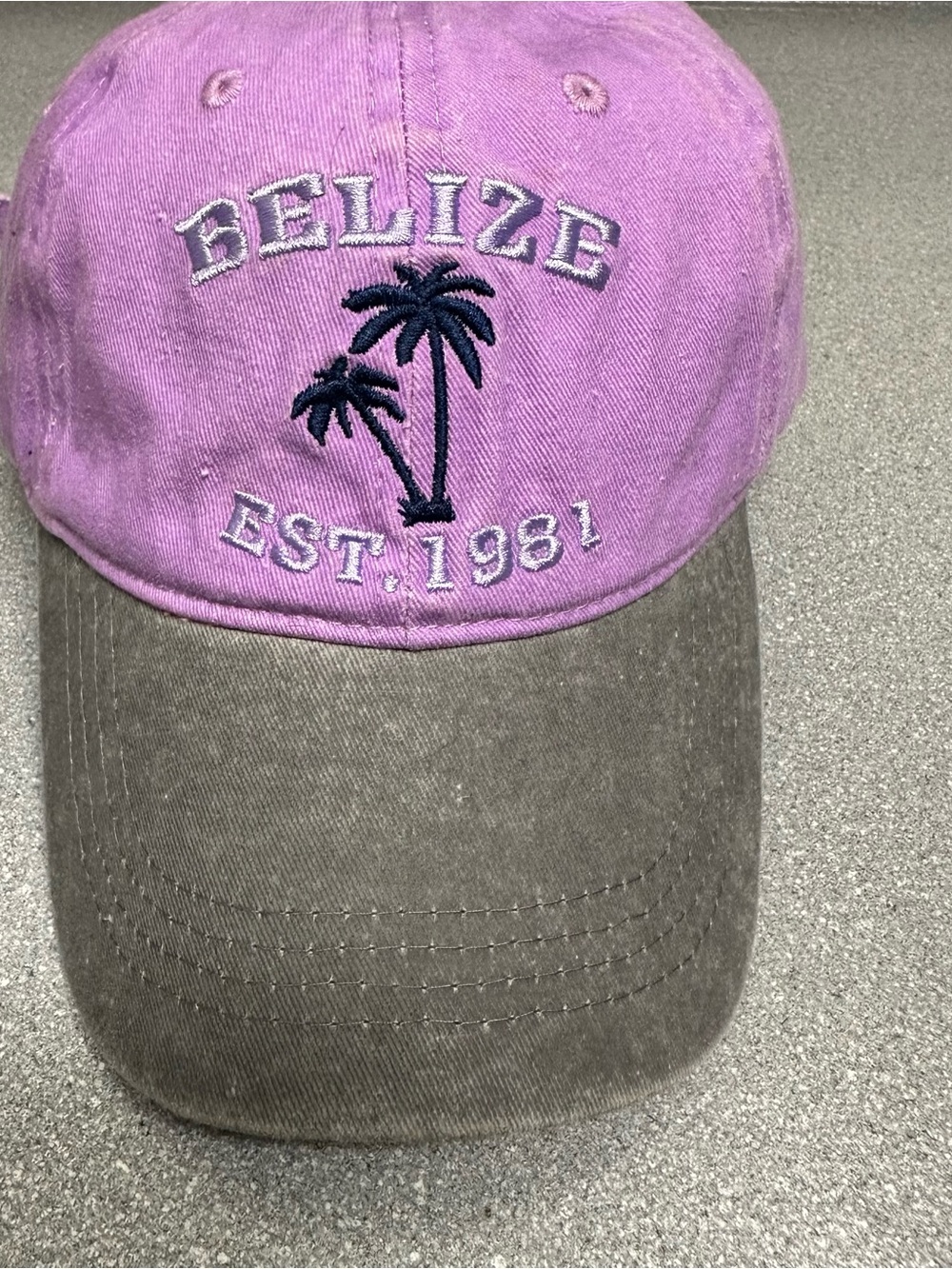Belize EST. 1981 Embroidered Baseball Cap | Purple Gray Palm